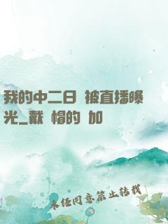 我的中二日記被直播曝光