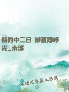 我的中二日記被直播曝光
