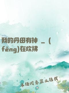 我的丹田有神劍