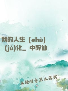 我的人生數(shù)據(jù)化