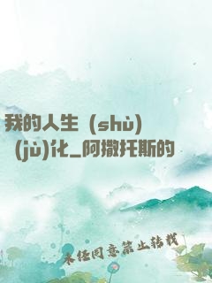 我的人生數(shù)據(jù)化