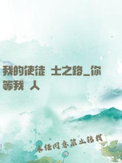 我的使徒劍士之路