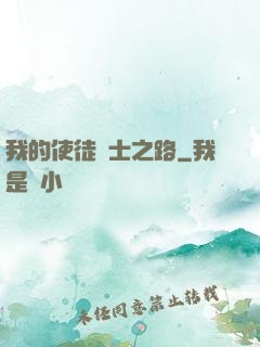 我的使徒劍士之路