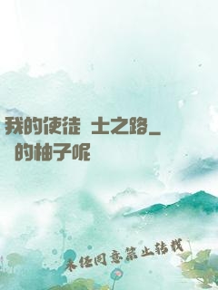 我的使徒劍士之路