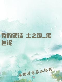我的使徒劍士之路