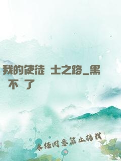 我的使徒劍士之路