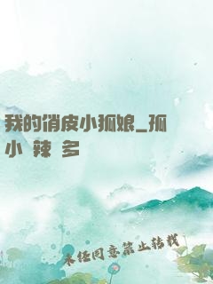我的俏皮小狐娘