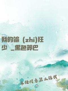 我的偏執(zhí)狂少爺