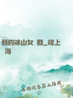 我的冰山女總裁