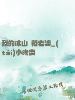 我的冰山總裁老婆