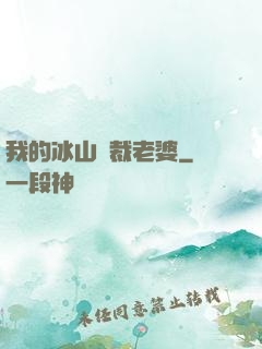 我的冰山總裁老婆