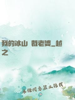 我的冰山總裁老婆