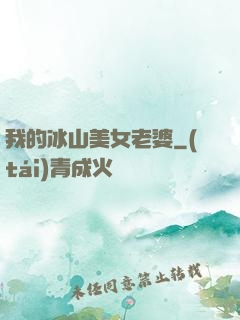 我的冰山美女老婆