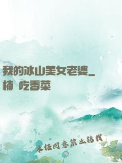 我的冰山美女老婆