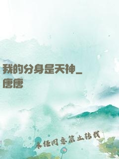 我的分身是天神