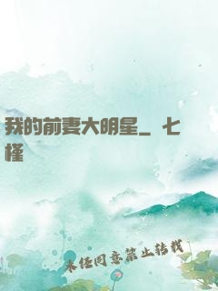我的前妻大明星