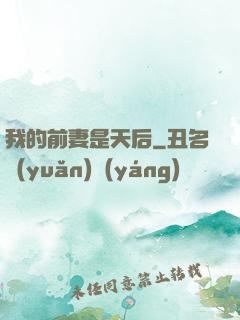 我的前妻是天后