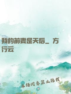 我的前妻是天后