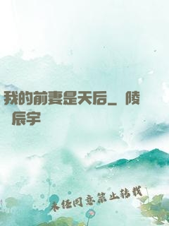 我的前妻是天后