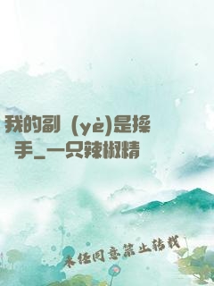 我的副業(yè)是操盤手