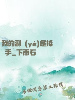 我的副業(yè)是操盤手