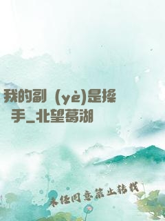 我的副業(yè)是操盤手