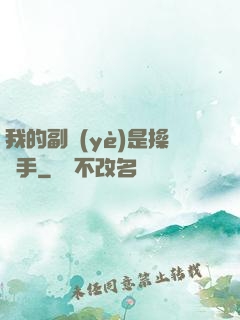 我的副業(yè)是操盤手