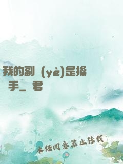 我的副業(yè)是操盤手