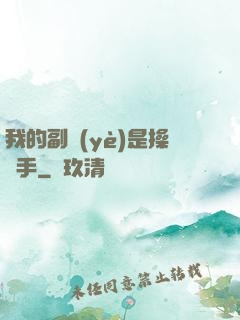 我的副業(yè)是操盤手