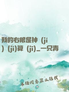 我的右眼是神級(jí)計(jì)算機(jī)