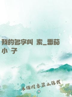 我的名字叫鋼索