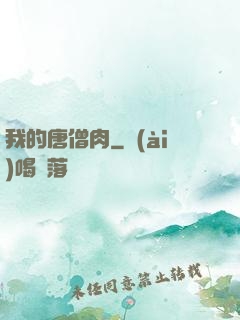 我的唐僧肉
