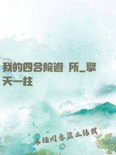 我的四合院避難所