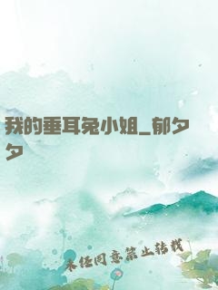 我的垂耳兔小姐
