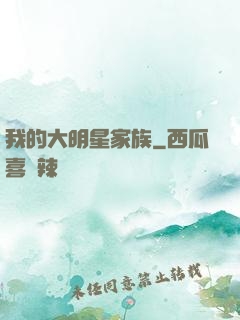 我的大明星家族