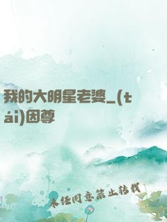 我的大明星老婆