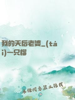 我的天后老婆