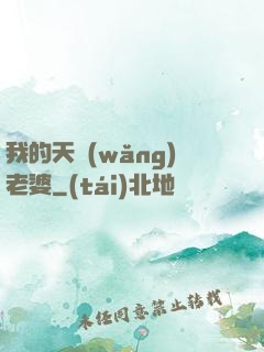 我的天網(wǎng)老婆