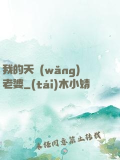 我的天網(wǎng)老婆