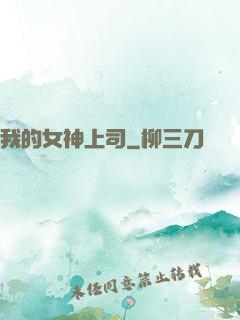 我的女神上司
