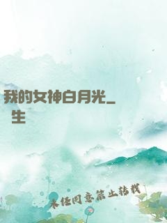 我的女神白月光