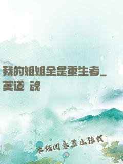 我的姐姐全是重生者