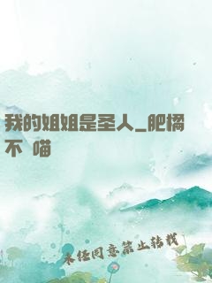 我的姐姐是圣人