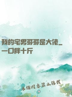 我的宅男哥哥是大佬