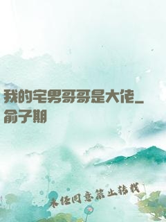 我的宅男哥哥是大佬