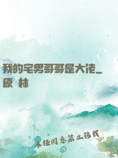 我的宅男哥哥是大佬