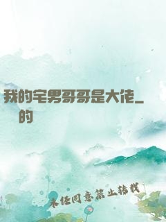 我的宅男哥哥是大佬
