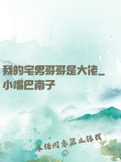 我的宅男哥哥是大佬