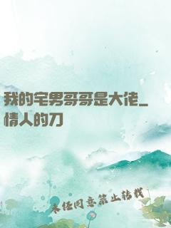 我的宅男哥哥是大佬