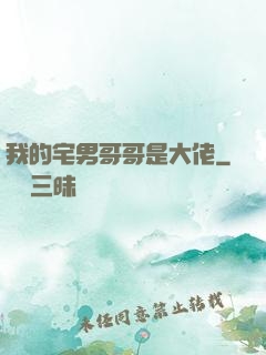 我的宅男哥哥是大佬